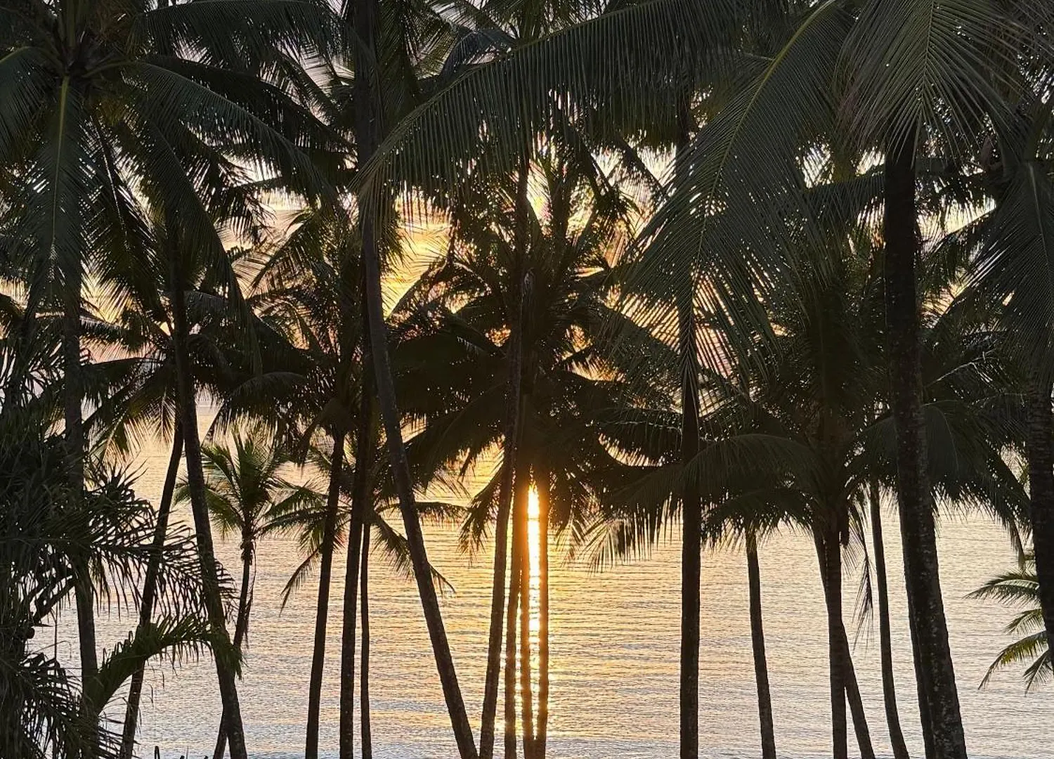 Tropical Escapes Palm Cove - Absolute Ocean Front Apartment